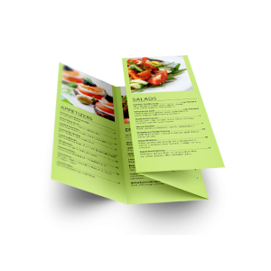 8.5x14 Double Parallel Fold Brochures