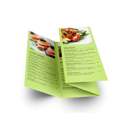 11x17 Double Parallel Fold Brochures printing